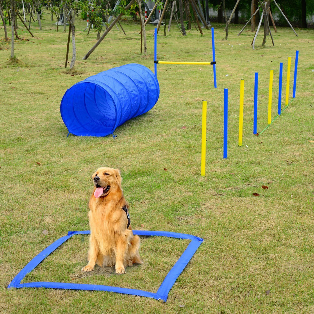 PawHut Dog Agility Starter Kit Pet Outdoor Exercise Training Set Taupe Shadow